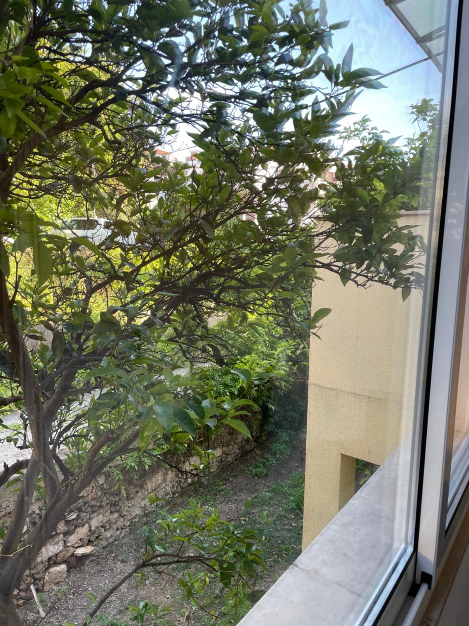 Apartmani Isabella - Ilda Radonic 耶尔萨 外观 照片